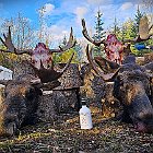 AR24-Camp Photos (6)